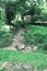 A picturesque staircase leading to the house in the jungle of Vietnam