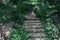 A picturesque staircase leading to the house in the jungle of Vietnam