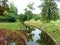 Picturesque stream with trees in the park