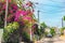 Picturesque street in Guadeloupe, Caribbean