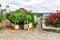 Picturesque streets of the old Obidos, Portugal