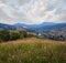 Picturesque summer Carpathian mountain countryside meadows. with beautiful wild flowers