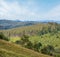 Picturesque summer Carpathian mountain countryside, Ukraine