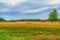 Picturesque summer landscape with beveled meadow and haystacks in cloudy morning. Hay harvest at farmland. Beautiful agricultural