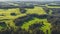 Picturesque summer landscape with a bird\\\'s eye view of a green meadow and trees. Generation AI