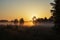 Picturesque summer landscape - first sun rays breaks through the tree branches at dawn. Golden misty morning in a field