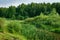Picturesque summer landscape of greennature with forest, river Bitza and thickets of cattail in the foreground