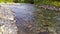 Picturesque Thaw river in the Vale of Glamorgan, banks covered with stones