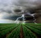 Picturesque thunderstorm over field. Dark cloudy sky with lightnings