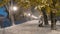 Picturesque timelapse of the illuminated Uzhgorod embankment during heavy snowfall, people walk, play and enjoy the