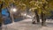 Picturesque timelapse of the illuminated Uzhgorod embankment during heavy snowfall, people walk, play and enjoy the