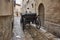 Picturesque traditional carriage in Palma de Mallorca old town. Balearic islands