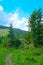 A picturesque trail in the forest in the mountainous part.