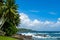 Picturesque tropical beach with palm trees on the shore