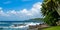 Picturesque tropical beach with palm trees on the shore. Wide photo