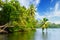 Picturesque tropical landscape. Lake, coconut palms and mangroves