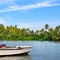 Picturesque tropical landscape. Lake, coconut palms and mangroves