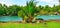 Picturesque tropical landscape. Lake, coconut palms and mangroves. Wide photo