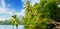 Picturesque tropical landscape. Wide photo. Lake, coconut palms and mangroves. Sri Lanka