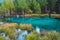 A picturesque turquoise geyser lake,in which blue and green circles rise and diverge against the background trees and grass in Al