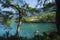 Picturesque turquoise water of Mediterranean sea photo framed in pine trees, Nature