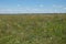 Picturesque Ukrainian steppe on a sunny summer day. Diverse steppe vegetation