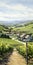 Picturesque Valley With Lush Grapevines And Charming Winery