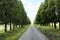 Picturesque view of asphalted road near trees in countryside