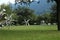 Picturesque view of beautiful park with metal figures on green grass