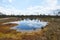 The picturesque view on big lake of the Viru Raba bog in Estonia