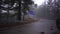 Picturesque view from car approaching to the intersection along the roadside near the forest after rain. Cyprus. Slow