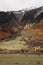 Picturesque view of cows grazing on meadow in high mountains with forest