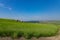 A picturesque view of the green steppe hills, pastures stretching into the distance