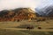 Picturesque view of high mountains and forest covered by thick mist, horses grazing on meadow