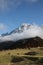 Picturesque view of high mountains with forest and horses grazing on meadow