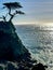 Picturesque view of the Lone Cypress Tree on 17 Mile Drive in California