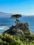 Picturesque view of the Lone Cypress Tree on 17 Mile Drive in California