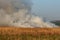 Picturesque view of smoke on peat field - fire nature