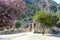 Picturesque views of the ruins of the ancient theater on the background of mountains, flowering trees with purple flowers