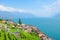 Picturesque village St. Saphorin in Lavaux wine region, Switzerland. Terraced vineyards on slopes by beautiful Geneva Lake, in