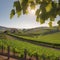 A picturesque vineyard with rows of grapevines, a rustic farmhouse, and rolling hills Idyllic countryside setting1