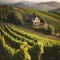 A picturesque vineyard with rows of grapevines, a rustic farmhouse, and rolling hills Idyllic countryside setting4