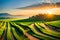 A picturesque vineyard with rows of grapevines stretching towards the horizon under a vibrant blue sky