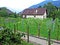 Picturesque vineyards in the Bundner Herrschaft Buendner Herrschaft region and Rhine river valley, Mainfeld - Canton of Grisons