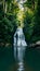 Picturesque waterfall surrounded by dense foliage in a tranquil forest