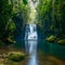 Picturesque waterfall surrounded by dense foliage in a tranquil forest