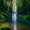 Picturesque waterfall surrounded by dense foliage in a tranquil forest