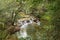 Picturesque waterfalls in the green jungle