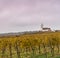 Picturesque white country church surrounded by golden vineyard pinot noir grapevine landscape under a cloudy purple evening sky