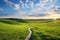 Picturesque winding path through a green grass field 1690448459741 2